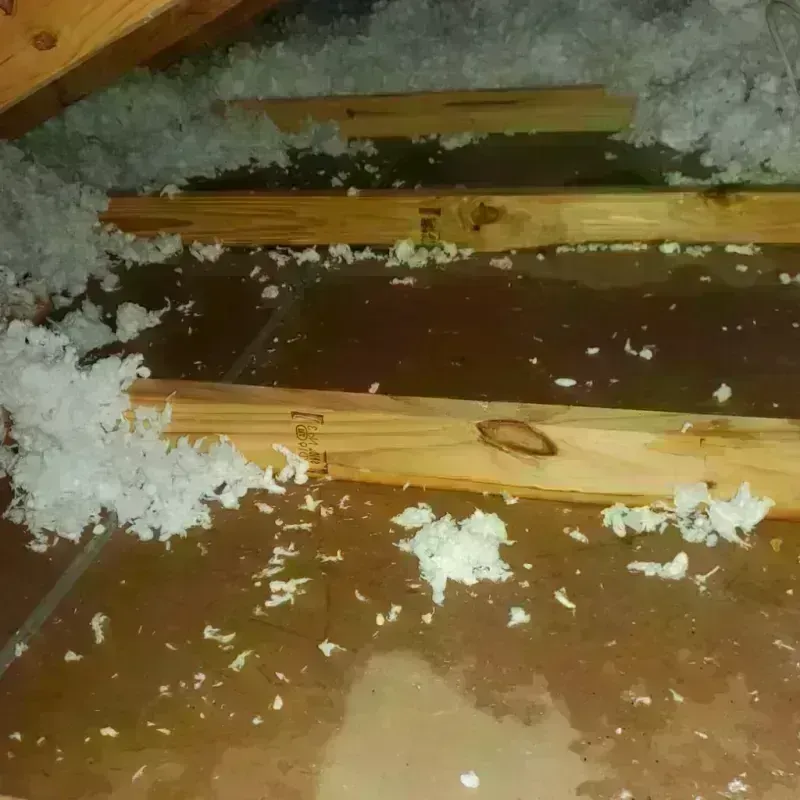 Attic Water Damage in Olyphant, PA